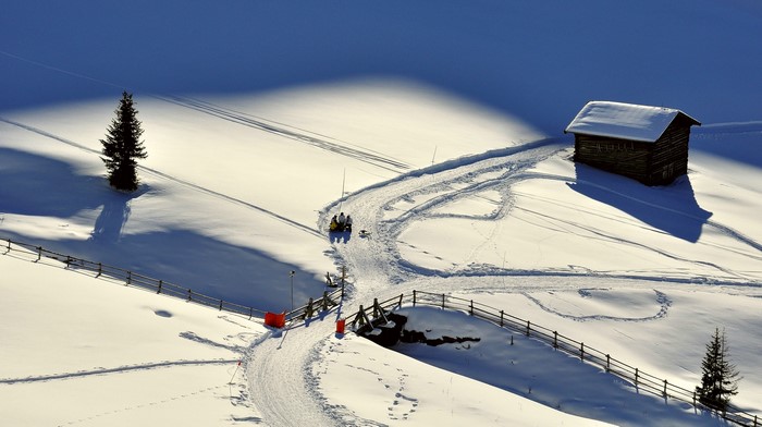 Winter scene with a wooden house and a lone tree