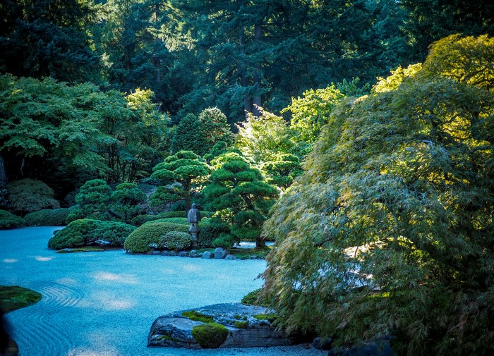 Japanese Garden Portland Oregon USA Trees Shrubs