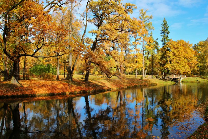 Autumn park with a river and trees in Russia