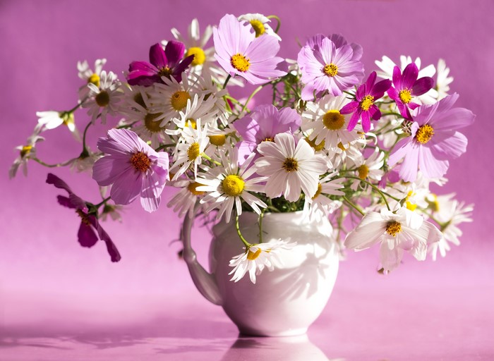 Bouquet of Cosmos and Daisies in a White Vase
