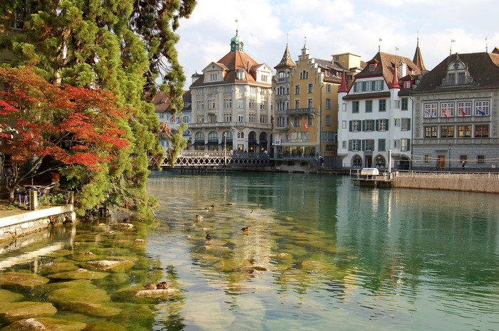 Riverfront buildings and trees with ducks in water