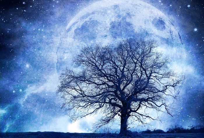 Silhouette of a bare tree against a large moon and starry sky