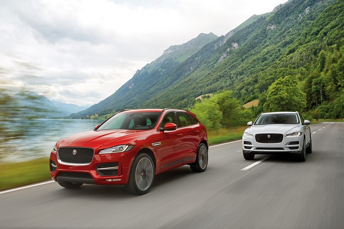 Two Jaguar F-Pace cars on a mountain road
