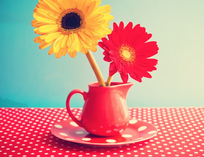 Yellow and red gerberas in a red jug on a polka dot tablecloth