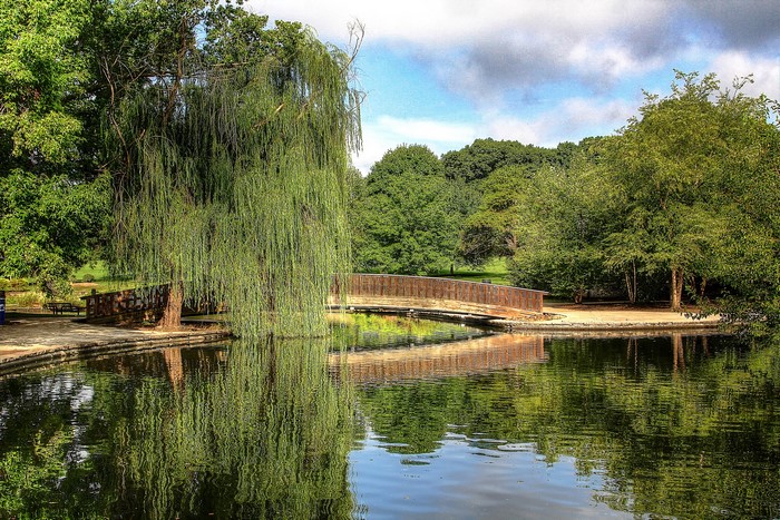 Park with a pond and a wooden bridge