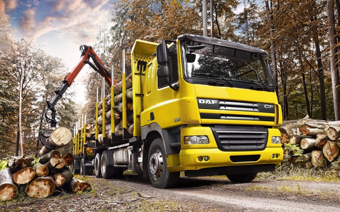 Yellow DAF CF85-460 Logging Truck in Forest