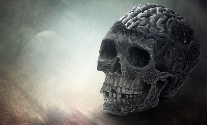 Carved skull with brain texture