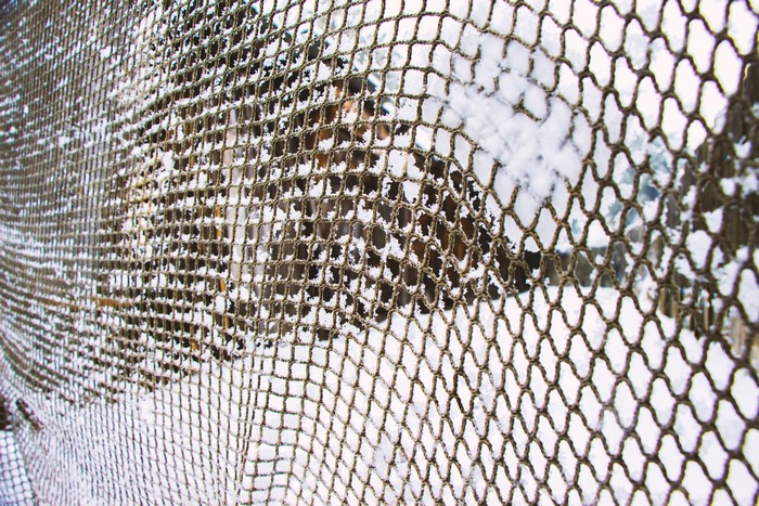 Snow-covered fence in winter