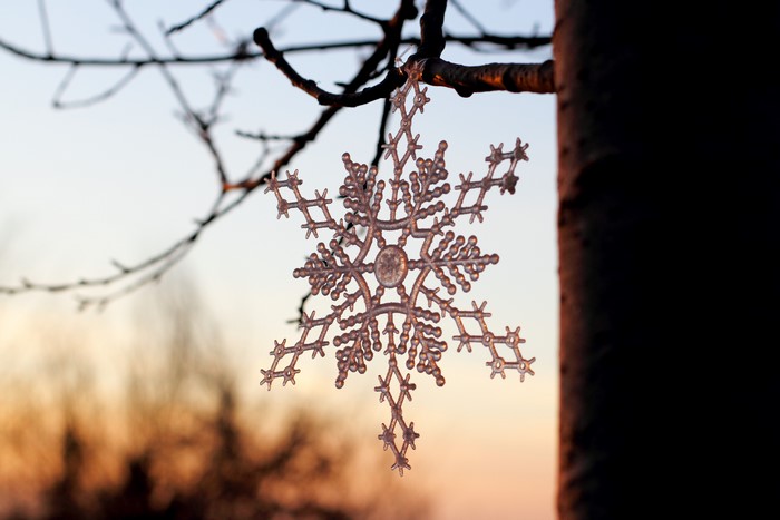 Close-up of a snowflake ornament on a tree branch