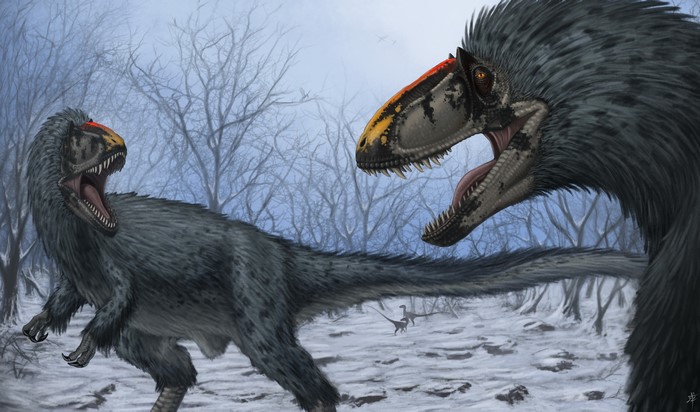 Yutyrannus dinosaurs in a snowy forest