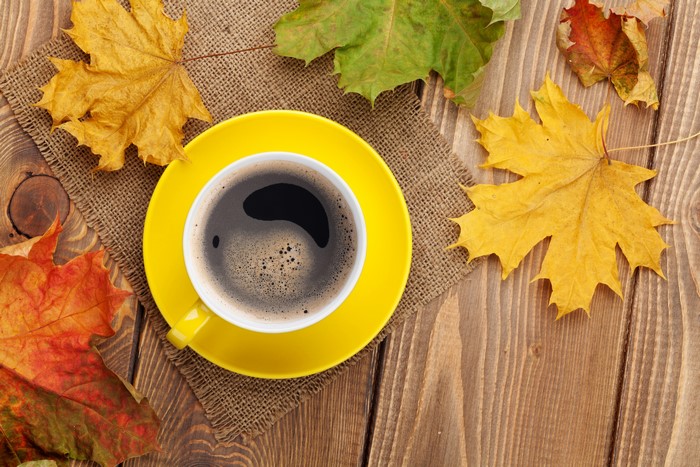 Coffee cup on saucer with autumn leaves on wood