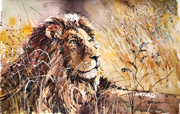 Lion painting in tall grass