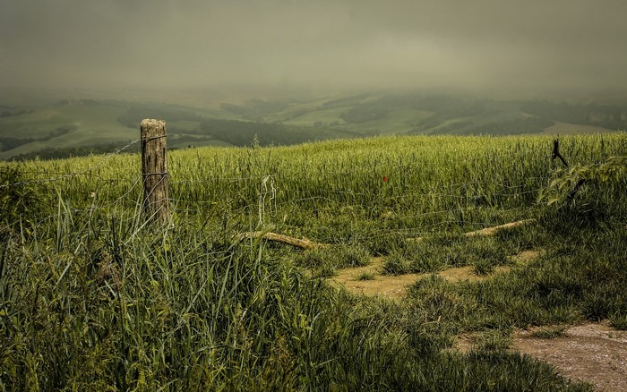 Green fields with a wooden fence post and barbed wire