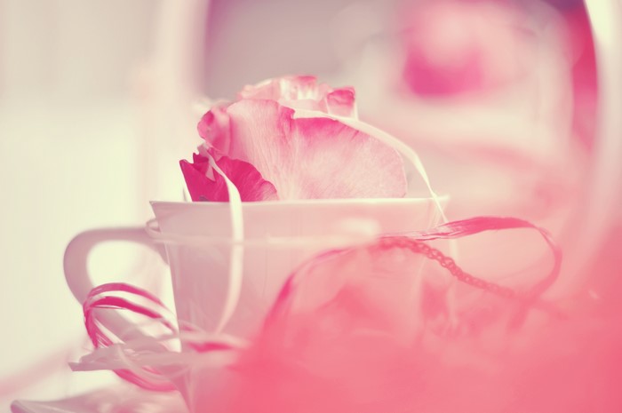 Pink Rose Petals in a Cup with Ribbon
