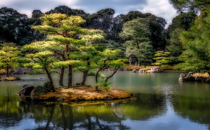 Japanese Garden with Pond and Pine Trees