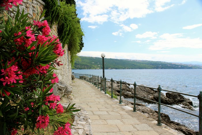 Coastal path with pink flowers and the sea in Croatia