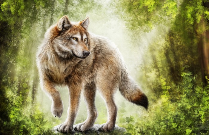 Wolf standing in a sunlit forest painting