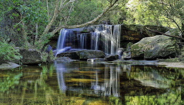 Waterfall cascading over rocks in a forest