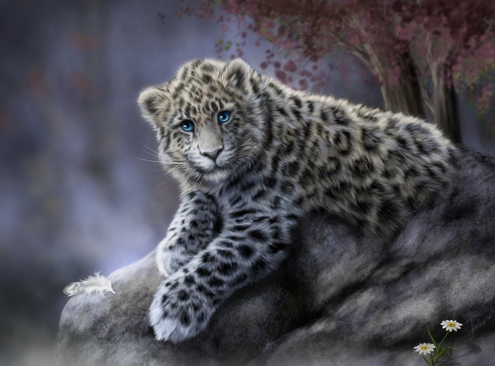 Snow Leopard Cub with Blue Eyes on a Rock
