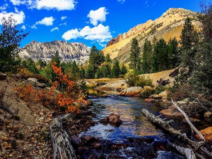Mountain River in Autumn Scenery
