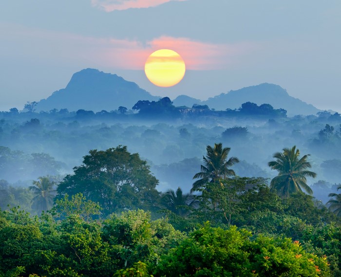 Sunrise over misty mountains and forest