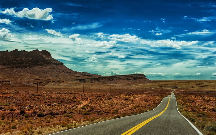 Desert road leading to mesas under a cloudy sky
