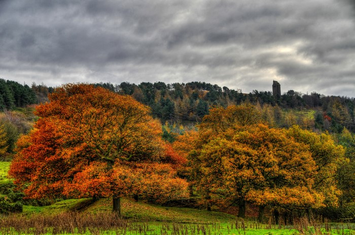 Autumn trees with a distant tower on a hill