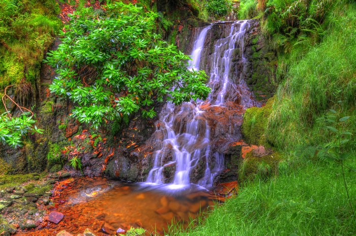 4K HDR Belmont Waterfalls with Moss and Shrubs