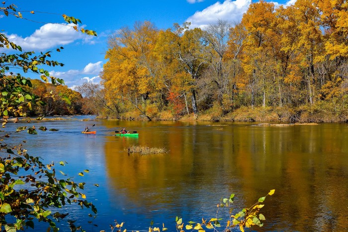 Kayakers on a river during autumn with colorful trees