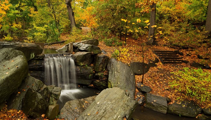 Waterfall in Autumn Forest with Stone Steps