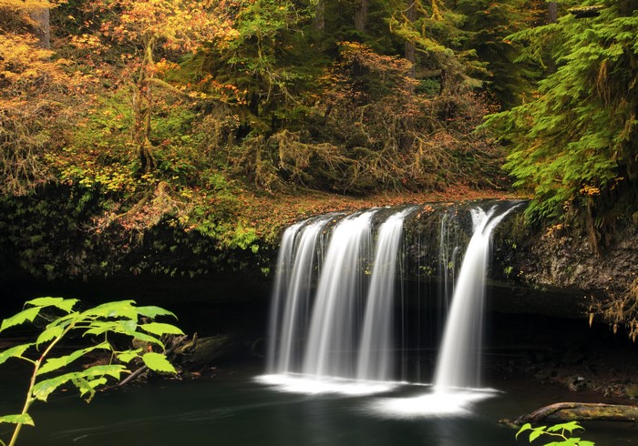 Upper Butte Creek Falls Oregon in Autumn