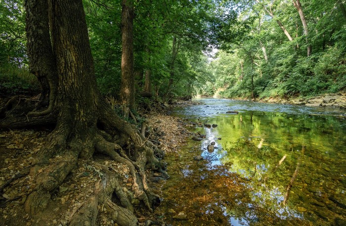 River flowing through a forest in Battlefield Missouri