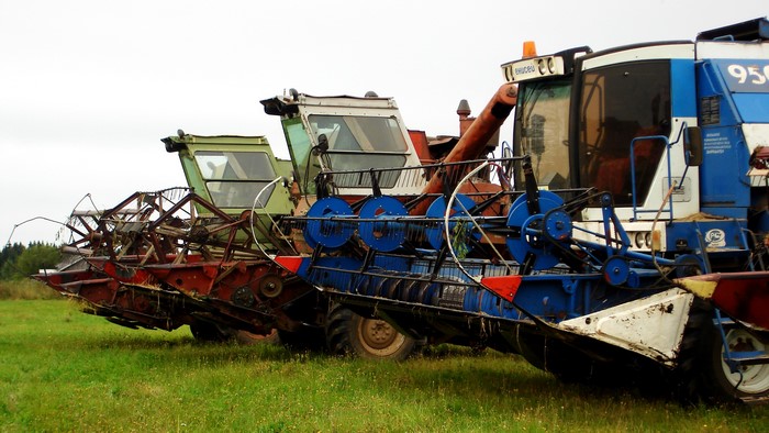 Row of combine harvesters in a grassy field