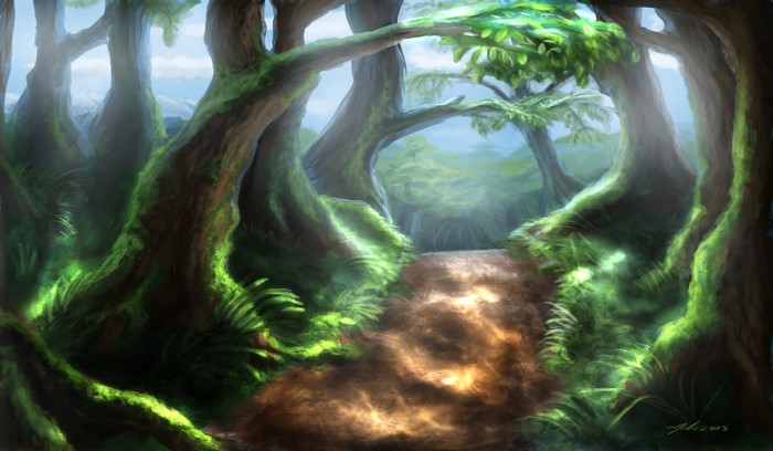 A path through a moss-covered forest with sunlight filtering through trees