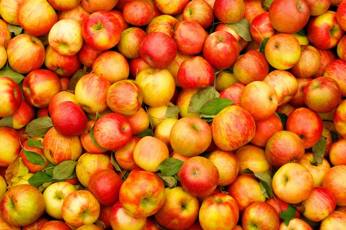 A large pile of red and yellow apples