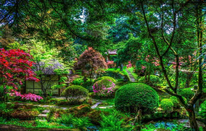 Japanese Garden with Traditional House and Red Maple Tree