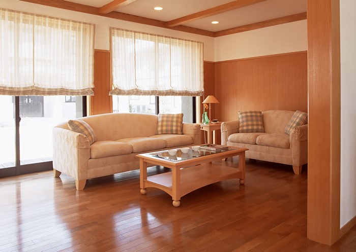 Living room with sofas and coffee table