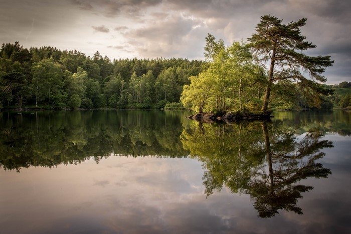Lake with trees and reflections