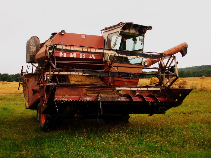 Combine harvester Niva in a field