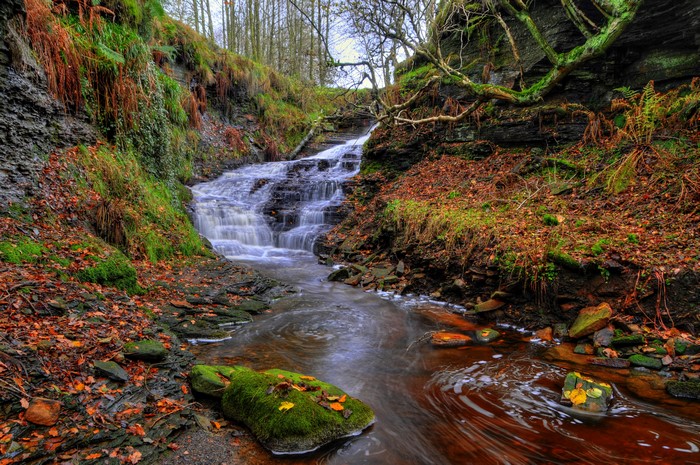 Dean Brook Waterfall Rivington, England, Autumn