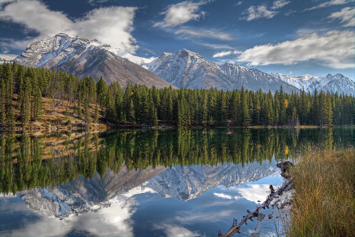 Snow-capped mountains reflected in a lake with a pine forest