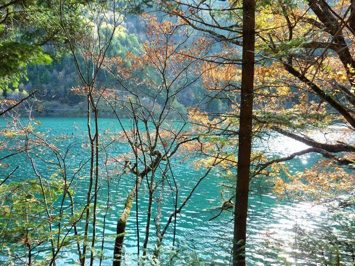 Turquoise lake in Jiuzhaigou Park during autumn