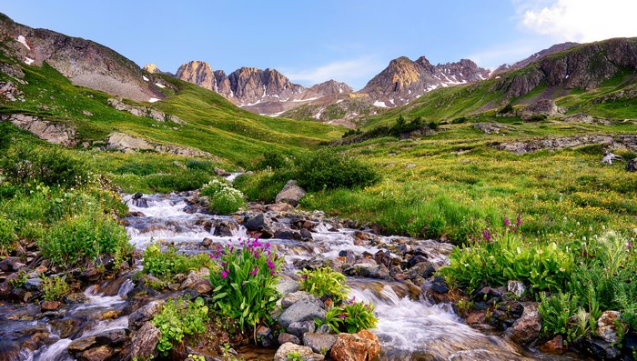 4K Colorado Mountains Stream with Wildflowers