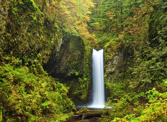 Multnomah Falls Oregon USA Waterfalls Forests Moss
