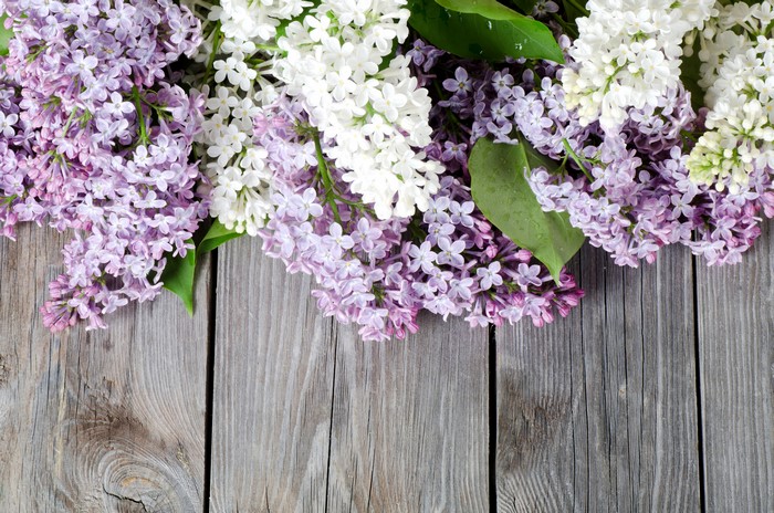4K Lilac flowers on wood planks