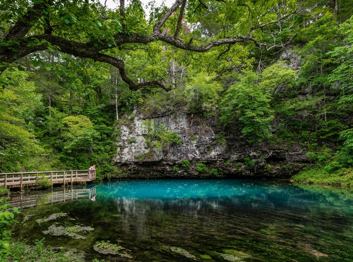 Blue Hole Spring in Missouri surrounded by trees