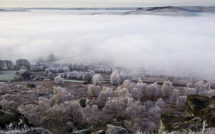 Foggy landscape with frosted trees from above