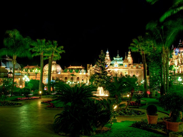 Monte Carlo Casino at night with palm trees