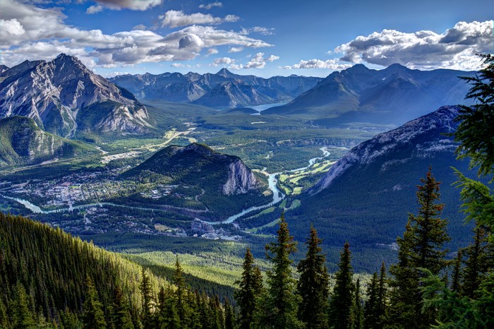 Banff National Park Scenery with Mountains and Spruce Trees