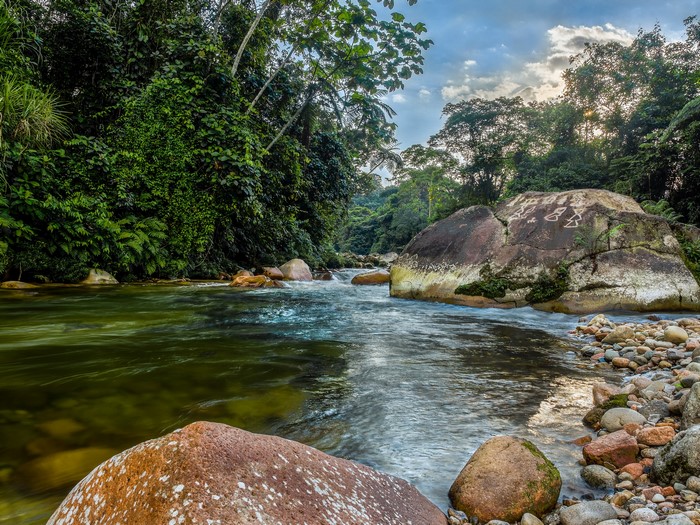 River flowing through a jungle with large rocks